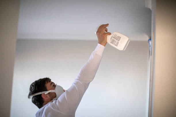 Best Post-Remediation Services in Eastwood, MI